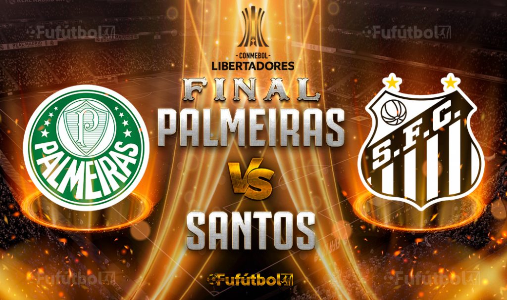 Ver Palmeiras vs Santos en EN VIVO y EN DIRECTO ONLINE por internet